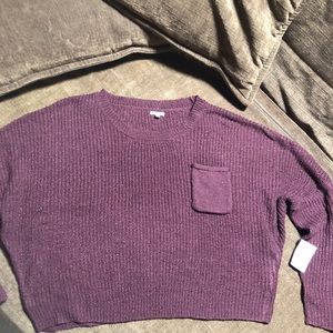 Charlotte Russe Semi Crop Sweater
